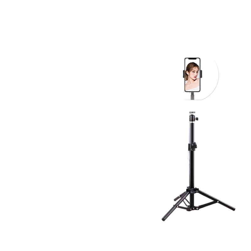 Portable mobile phone holder