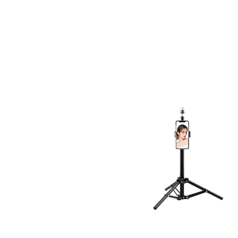 Portable mobile phone holder