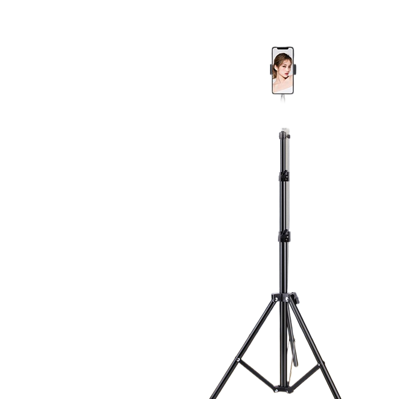 Portable mobile phone holder