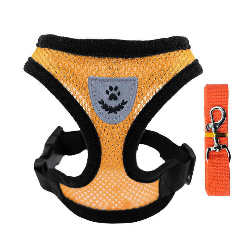 Dog leash collar clothing