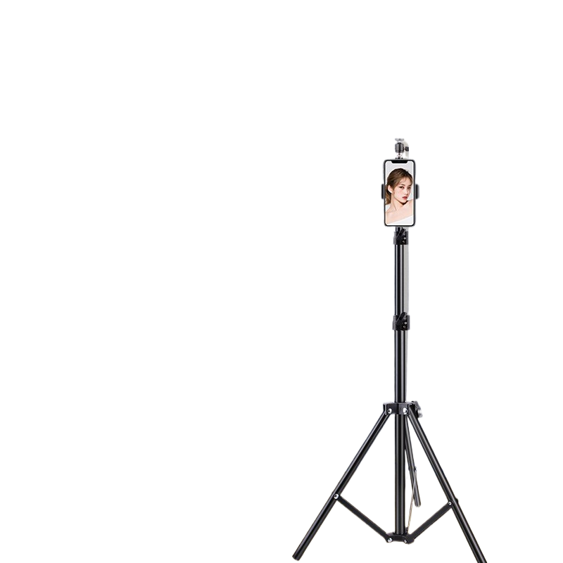 Portable mobile phone holder