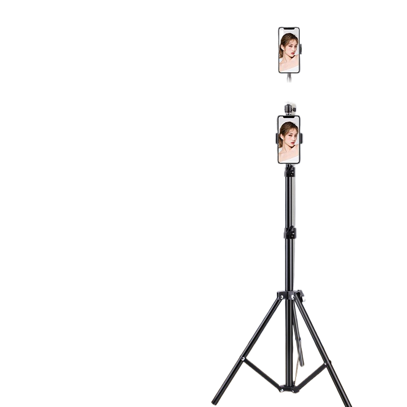 Portable mobile phone holder