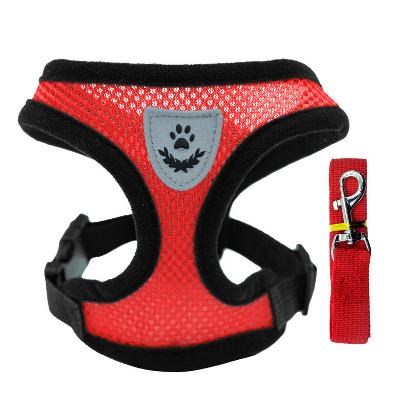 Dog leash collar clothing