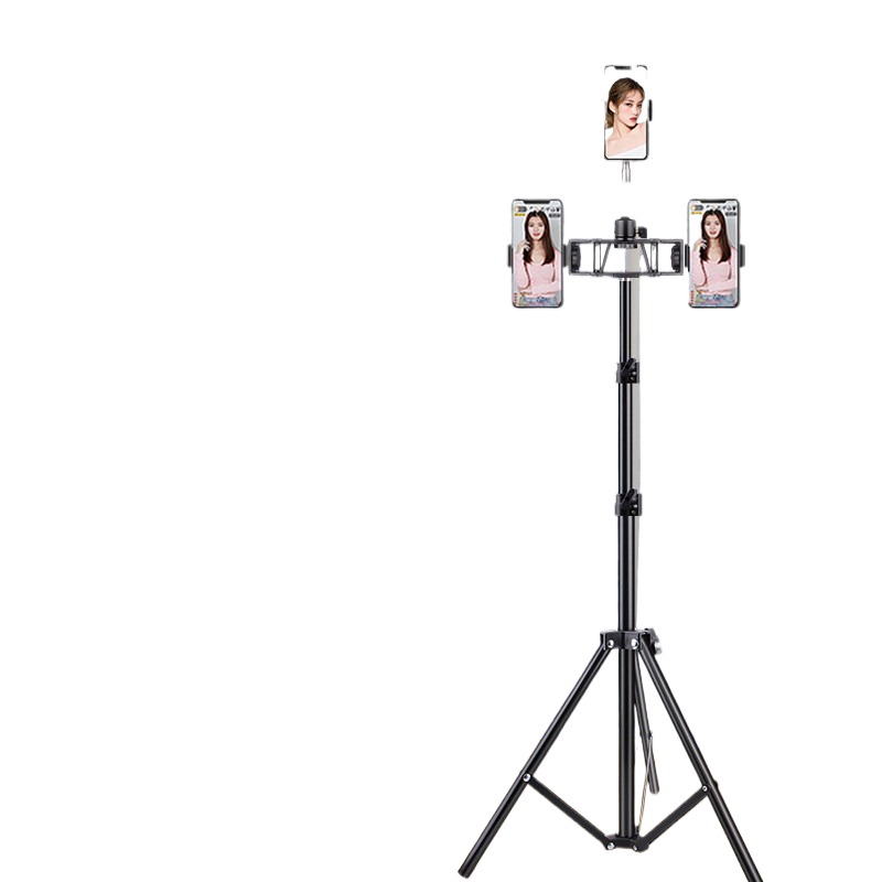 Portable mobile phone holder