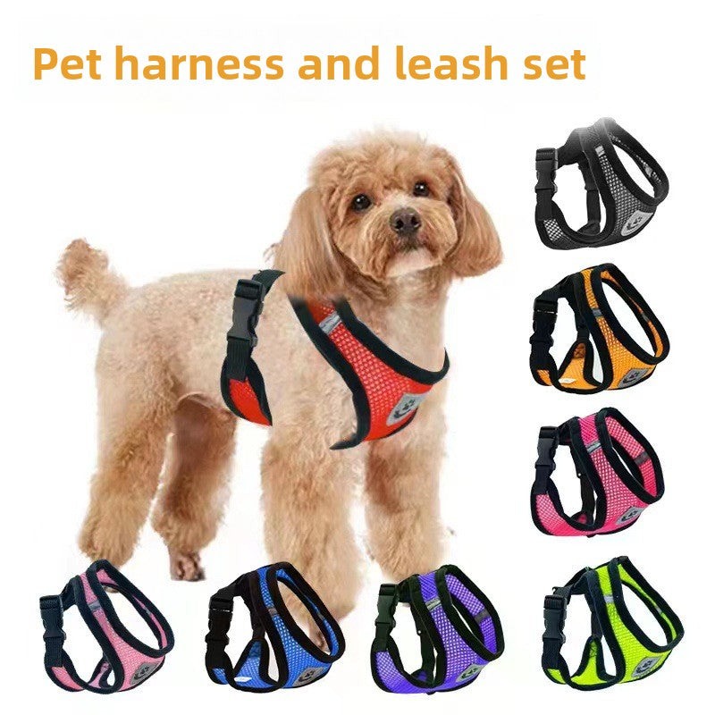 Dog leash collar clothing