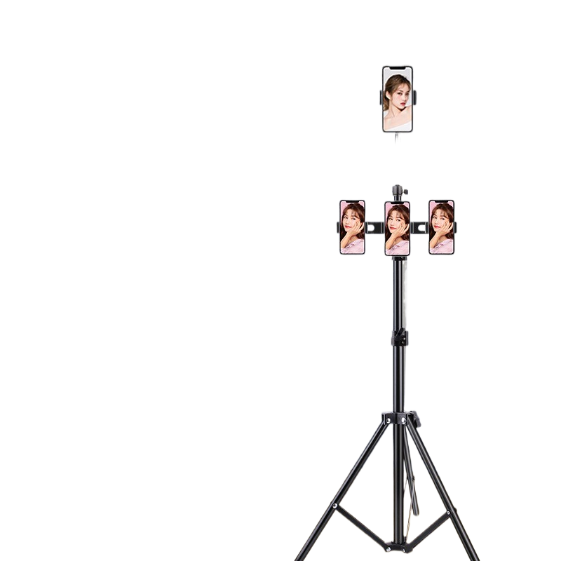 Portable mobile phone holder