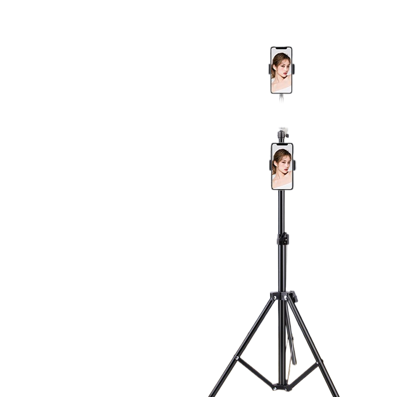 Portable mobile phone holder